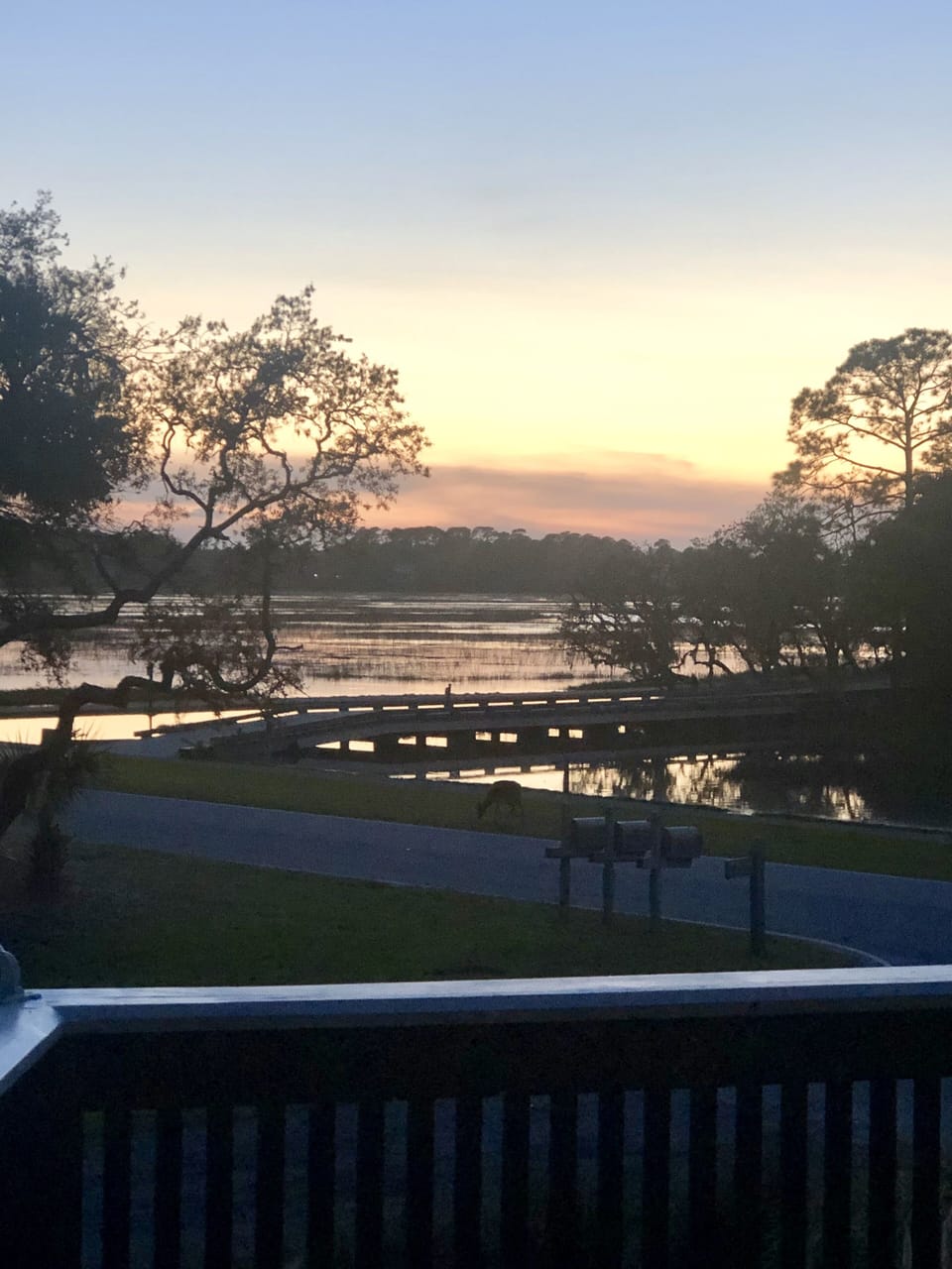 View off front deck