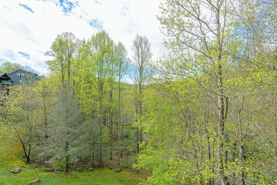 Deck Area--- Wooded View