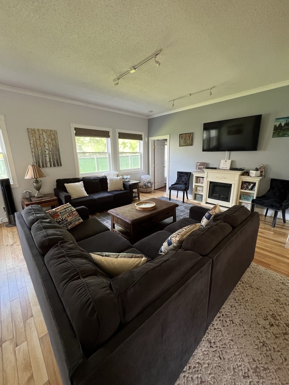 Great Room with pull out doble sleeper sofa that sleeps 2