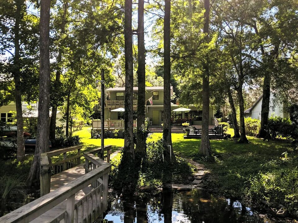 Chimera from the dock...