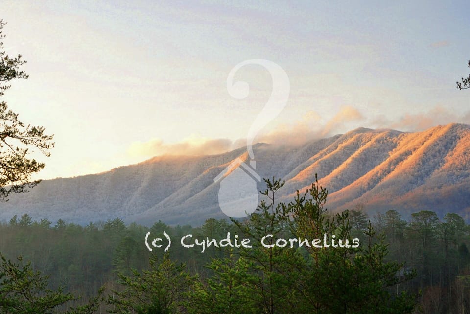 Views of Rich Mountain greet you as you enter the community.