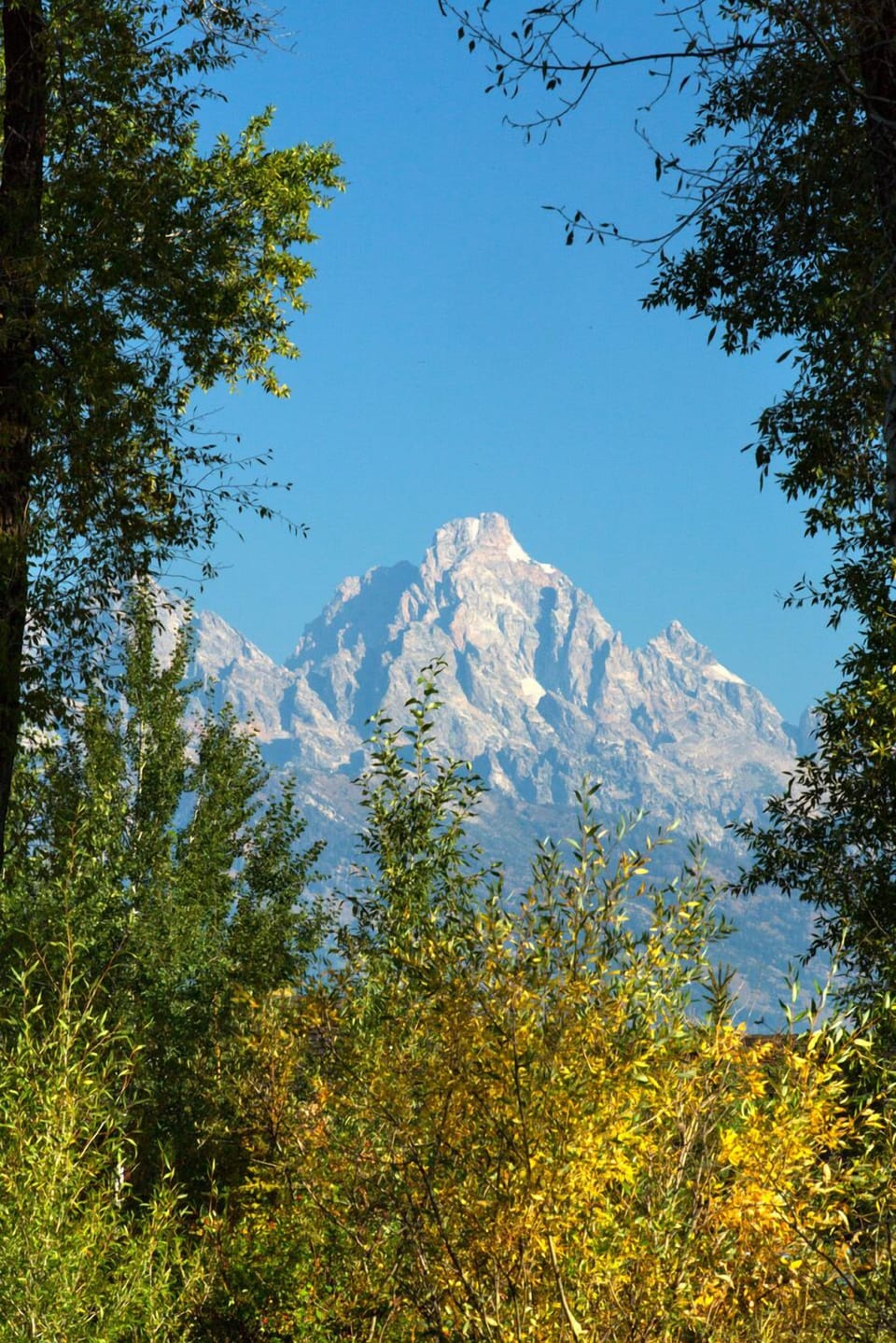 Grand Teton Views off of the N facing private deck