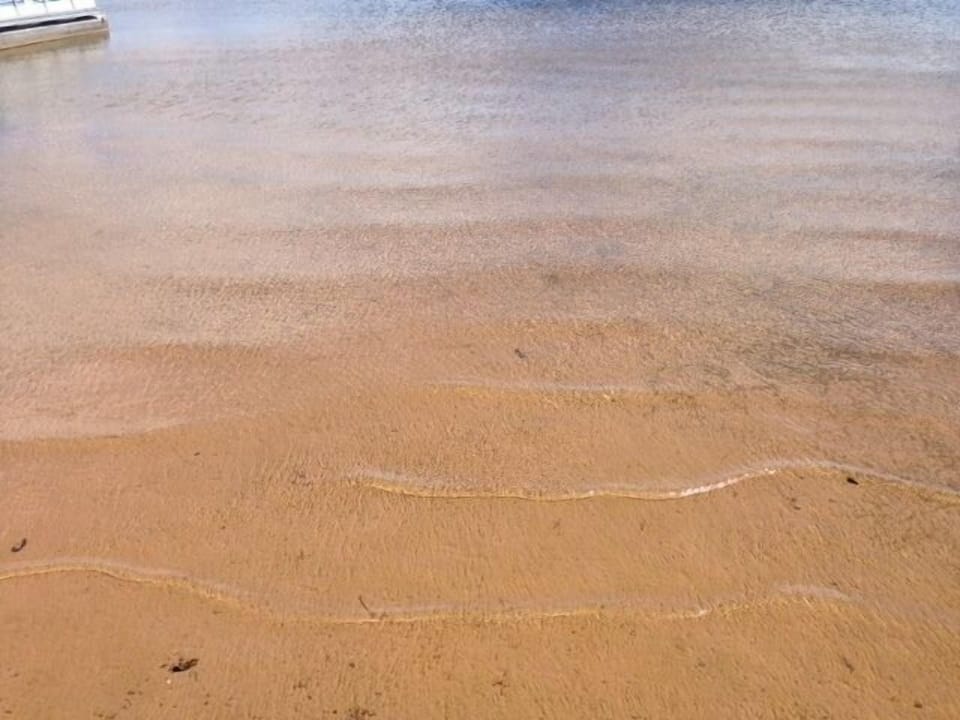 Lakefront has a sandy, shallow bottom. Great for kids and sitting in a floaty!