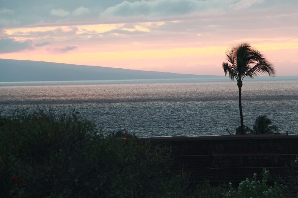 Whale watching from the lanai with condo binoculars