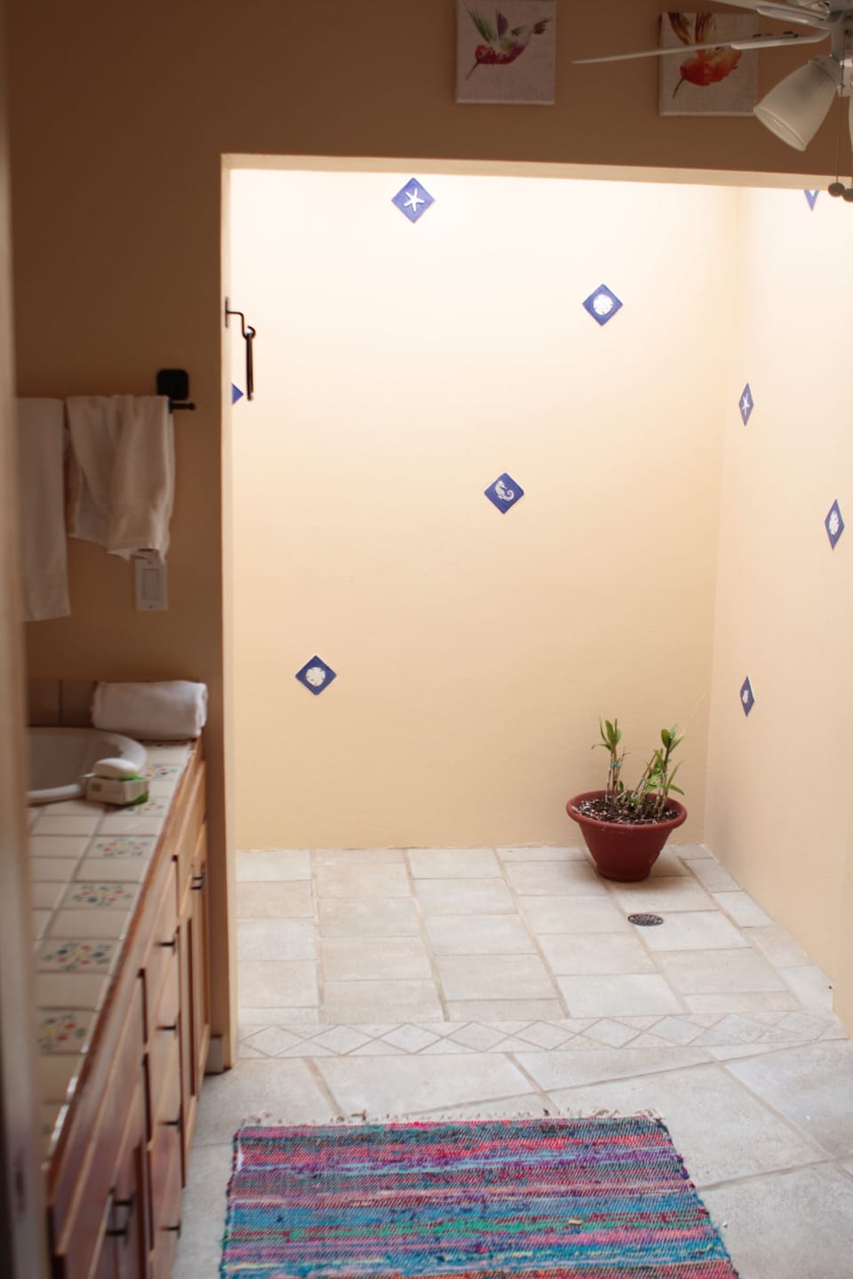 Newly painted bathroom with  ceiling fan
