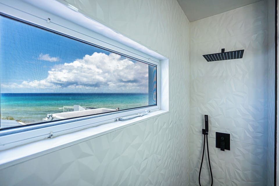 Newly Remodeled Master Bath (2024) with a beautiful view while you shower
