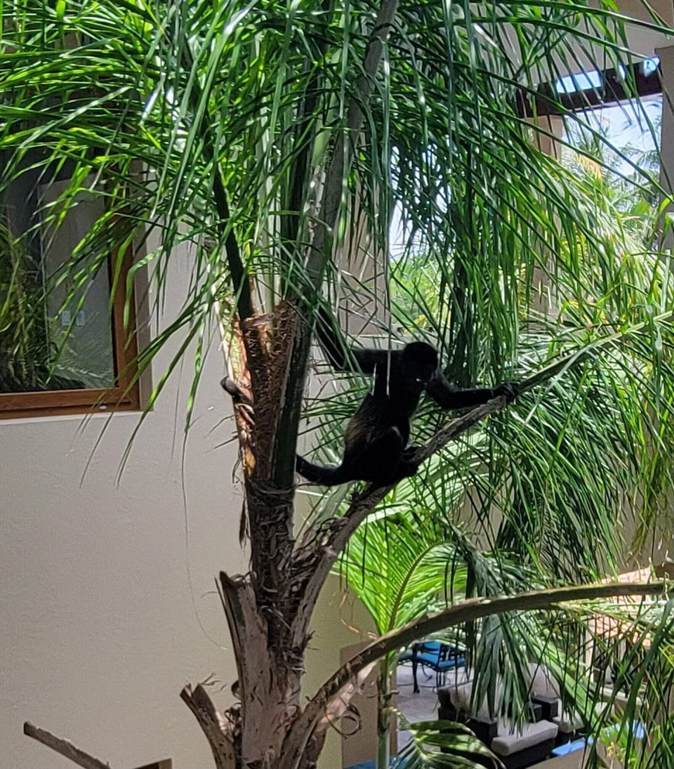 Right outside our door.