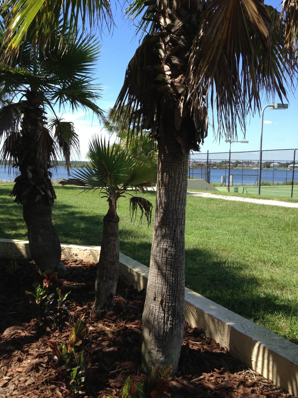 Patio view Lake & Tennis Ct