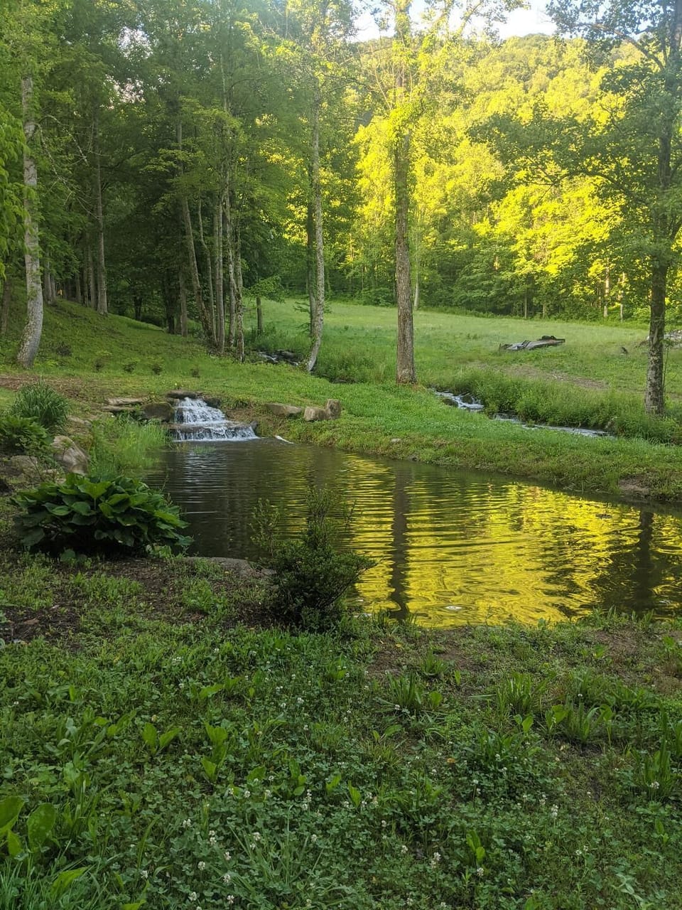 Trout Pond across the road from rental

