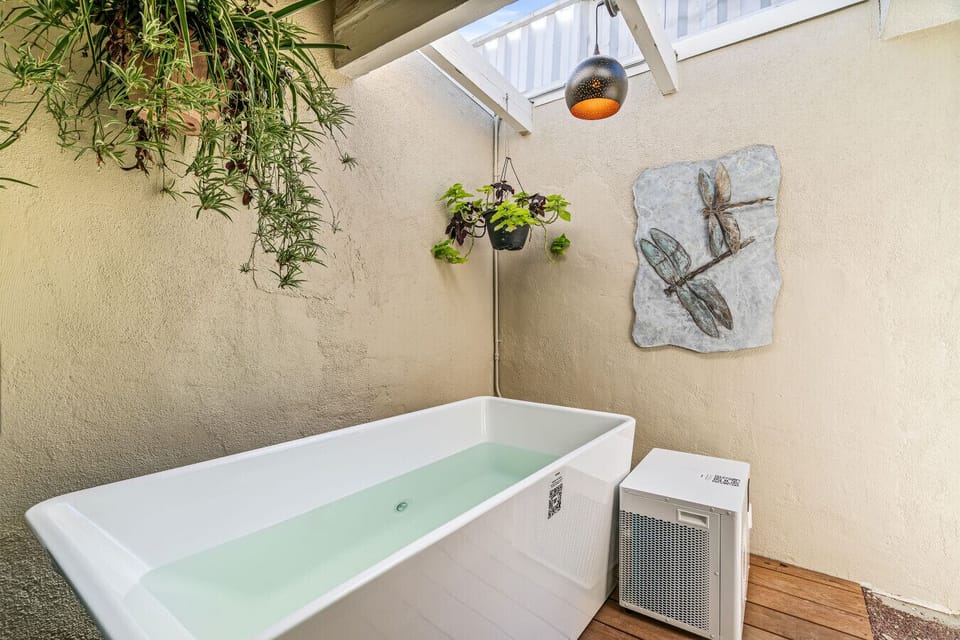 Private cold plunge awaits. The world narrows. Nothing else matters.