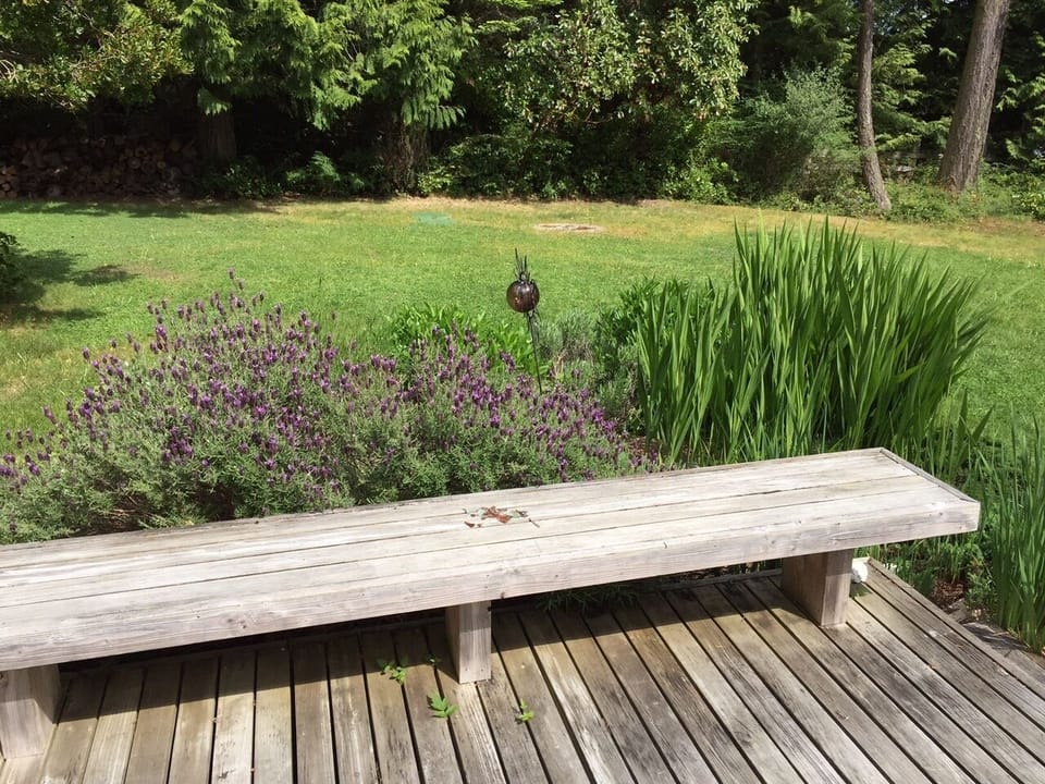 Beautiful lavender surrounds the deck
