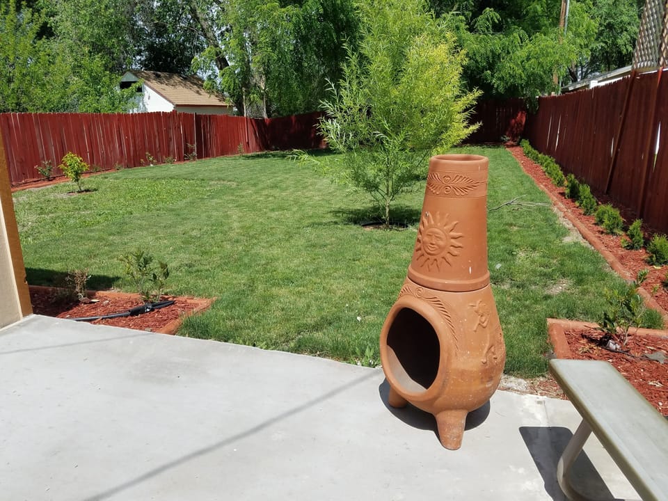 back yard