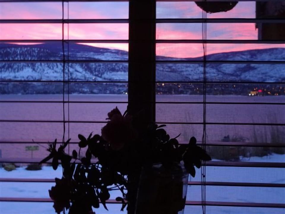 Beautiful night view from dining room window. 