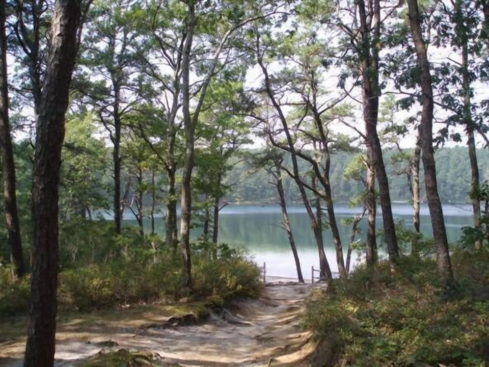 Near Wellfleet ponds