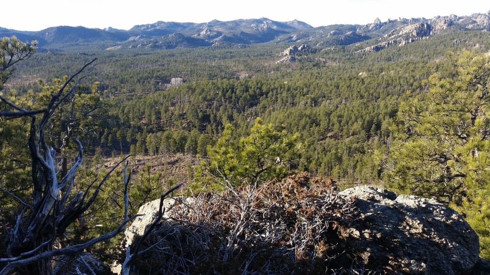 Another view from the top of Big Rock.