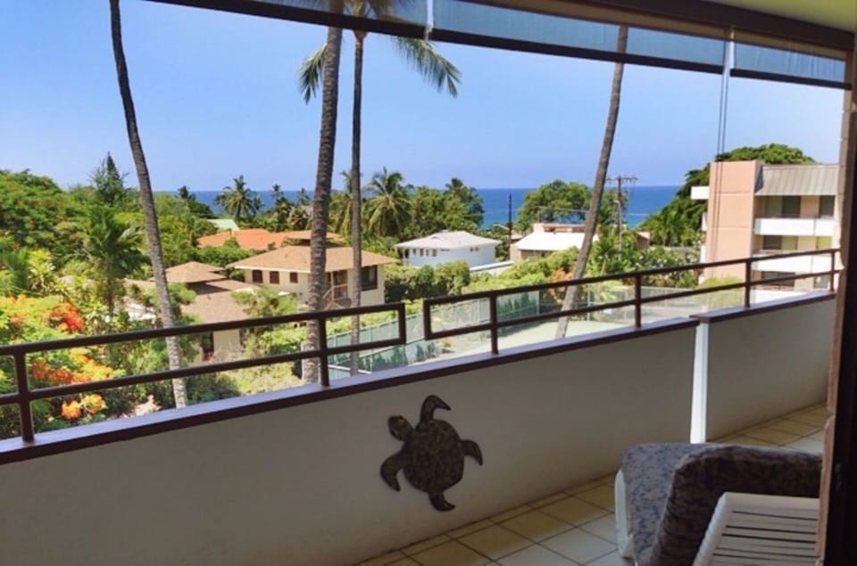 Enjoy the Lanai !