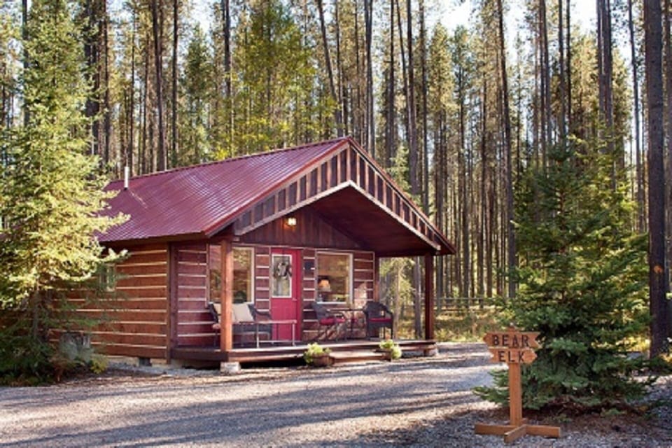 Surrounded by tall pines and serenity