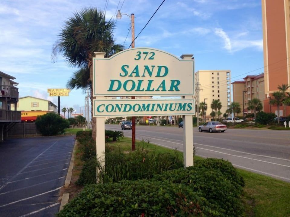 My Complex Sand Dollar
