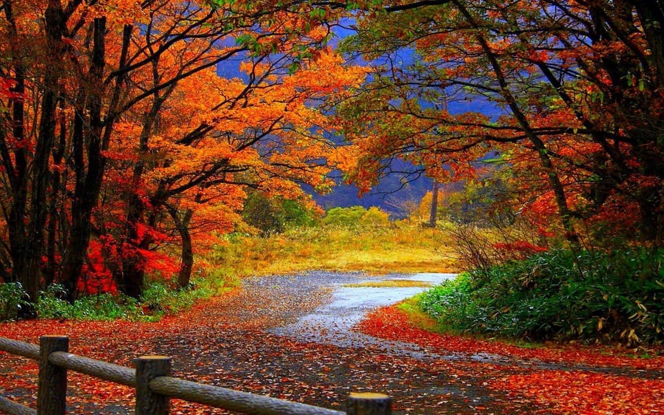 Come and enjoy Autumn season at Orchard Place. 