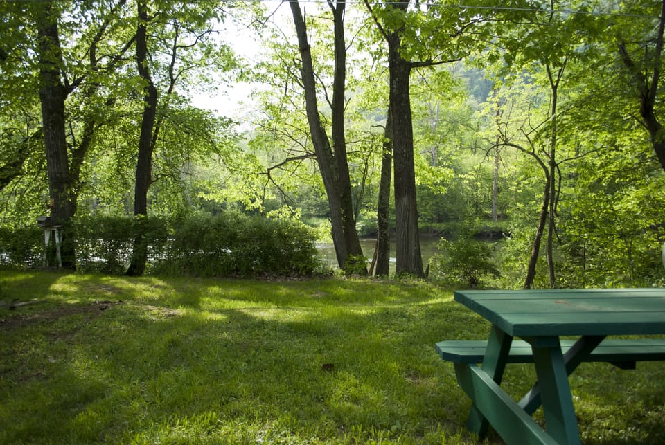 A shady spot to enjoy a meal and listen to the water!