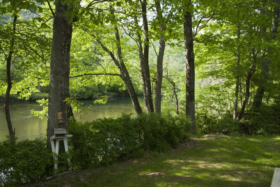 Creek and mountain views from the deck!