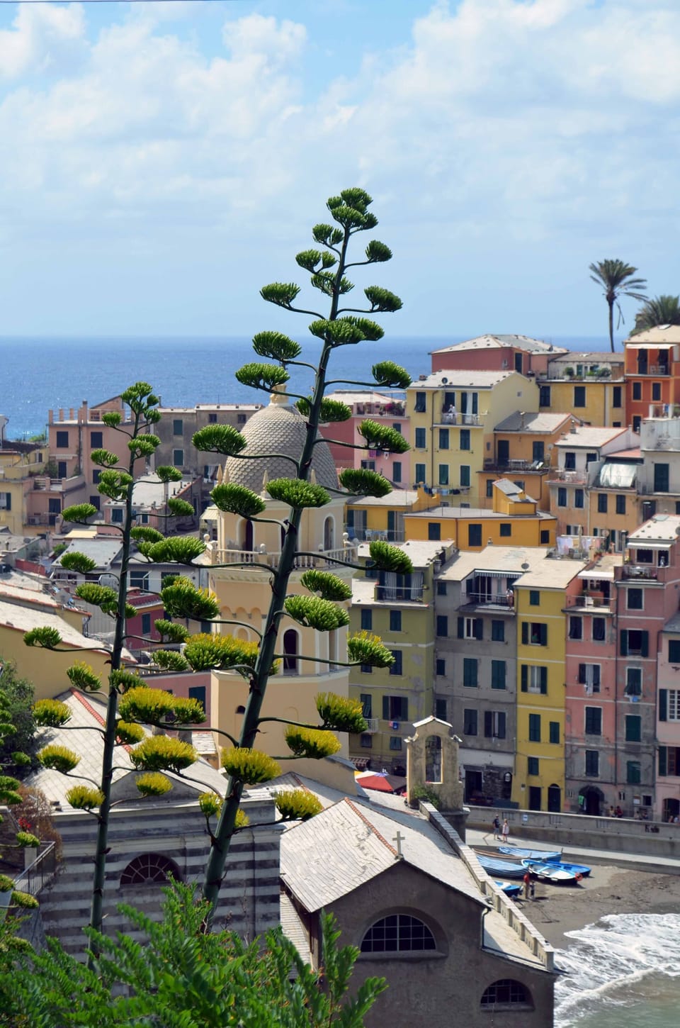 Photo of Vernazza. (This is not the view from the apartment.)