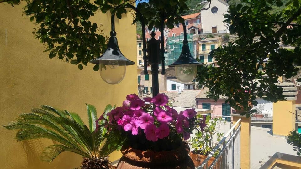 Fresh flowers.