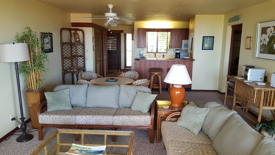 View from front lanai looking in