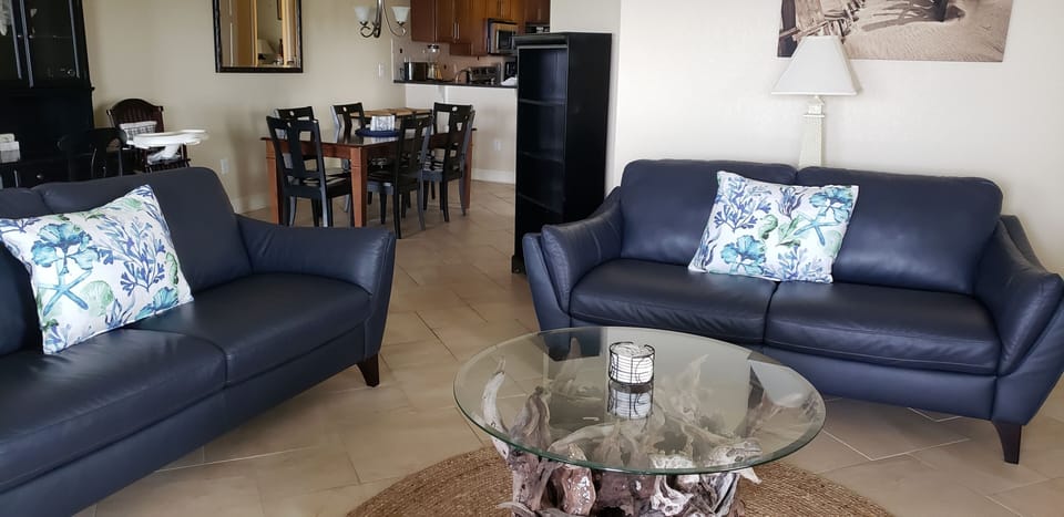 Soft Leather Couches 