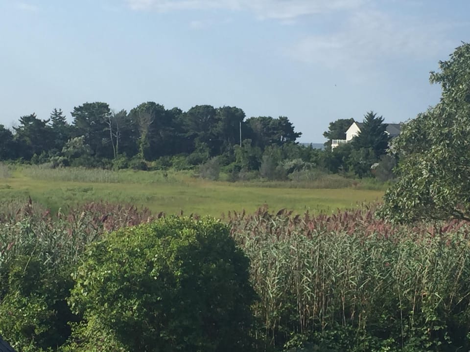 Across the marsh to the ocean