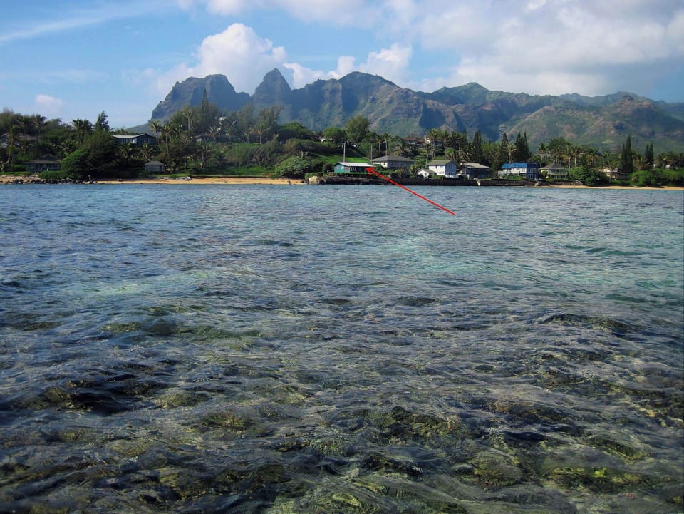 A  view from the Ocean looking landward toward Hale Kai
