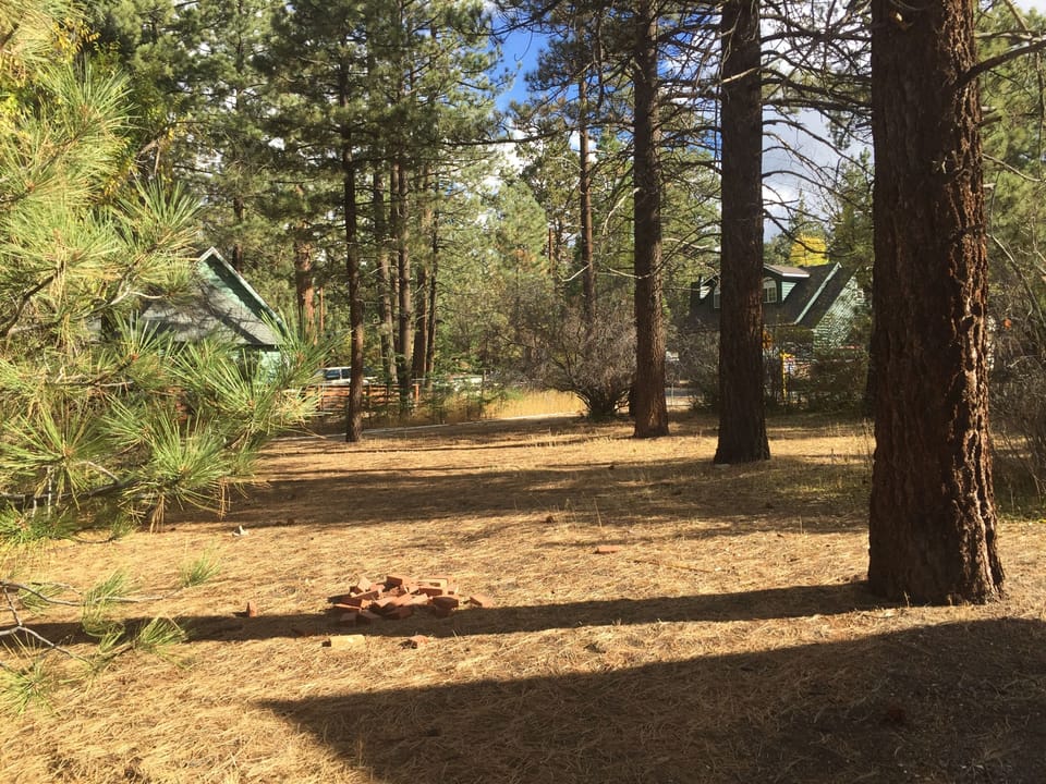 Large fenced in yard.