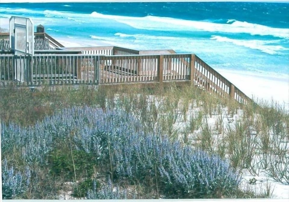 Looking at Gulf from Pool