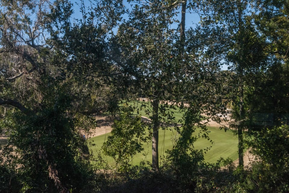 view off back of living area - over looking green