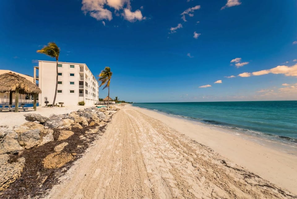 Head east for a walk on the beach