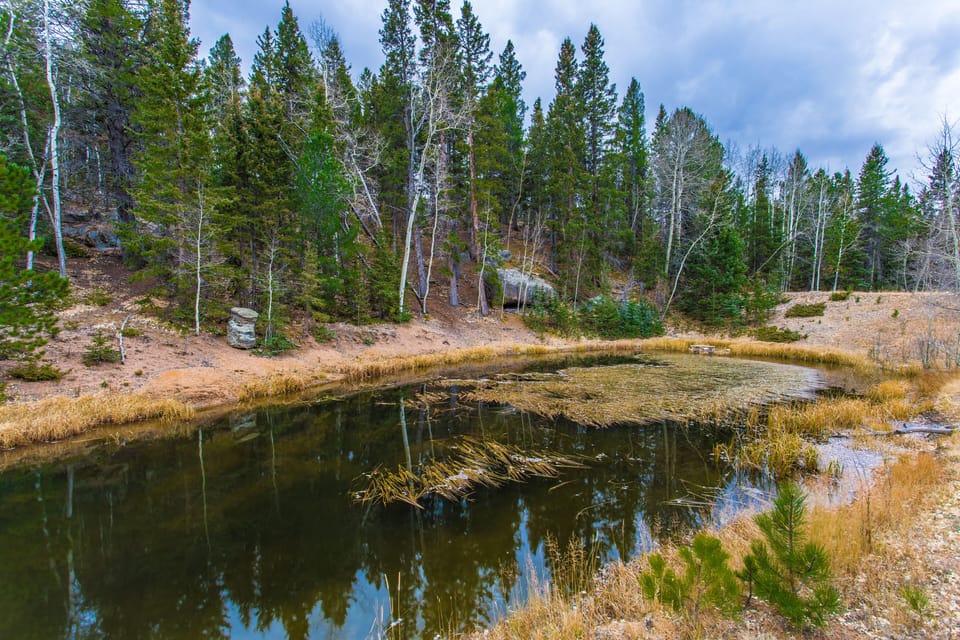 Discover the natural beauty of the property.