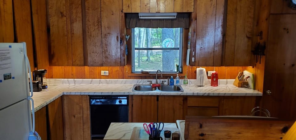 New under cabinet lighting. Kitchen window overlooks the woods and wildlife.