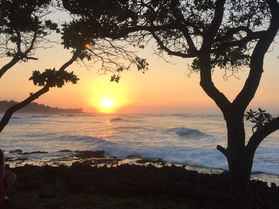 View from Turtle Bay Resort!