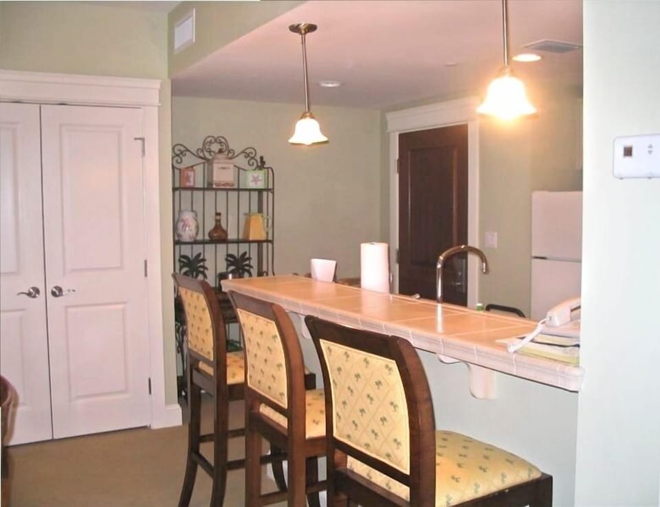 Entry area/ extra closet/ Eat-In Bar