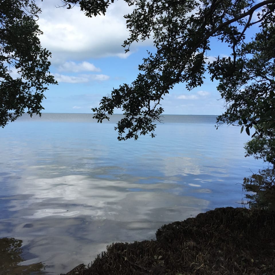 Robinson Preserve hiking and wildlife viewing