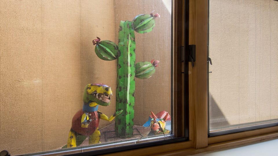 Bison's "cactus garden" with miniature desert critters brings in natural light