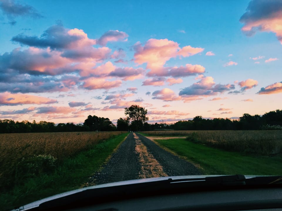 Quarter mile driveway takes you past fields and a hundred year old sycamore tree