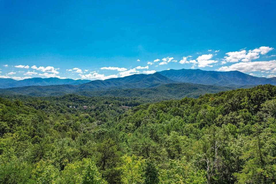 Nature is Breathtaking right from our decks!