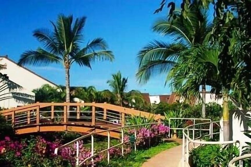 This foot bridge is the path to the front door. Garden view in front and back
