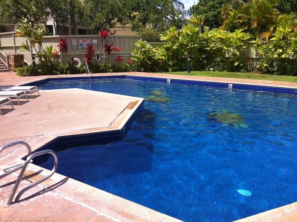 Beautiful heated swimming pool for your enjoyment just 200 feet from condo unit.