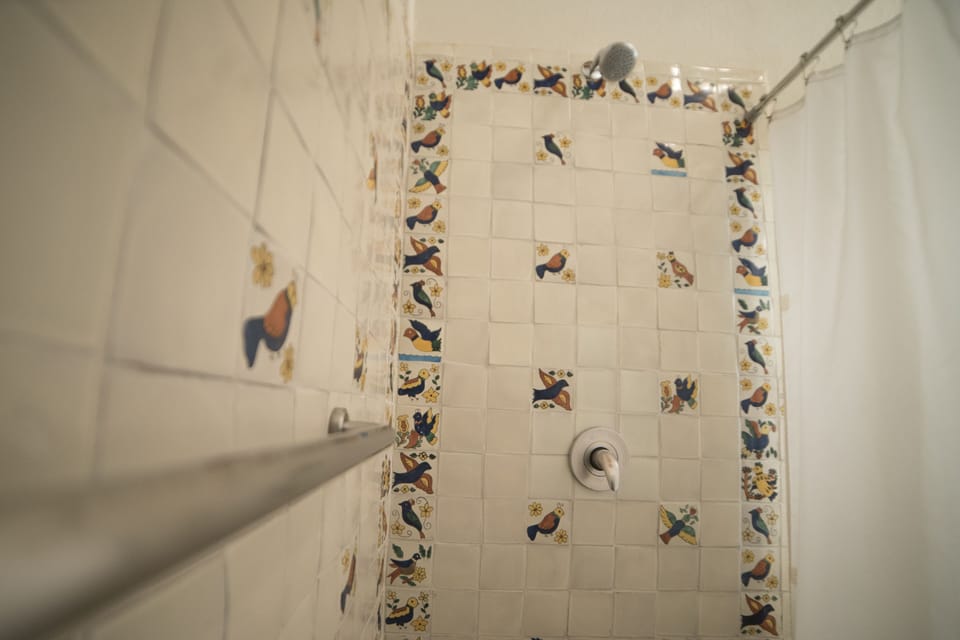 Room (Golondrinas) | Bathroom | Shower, free toiletries, towels