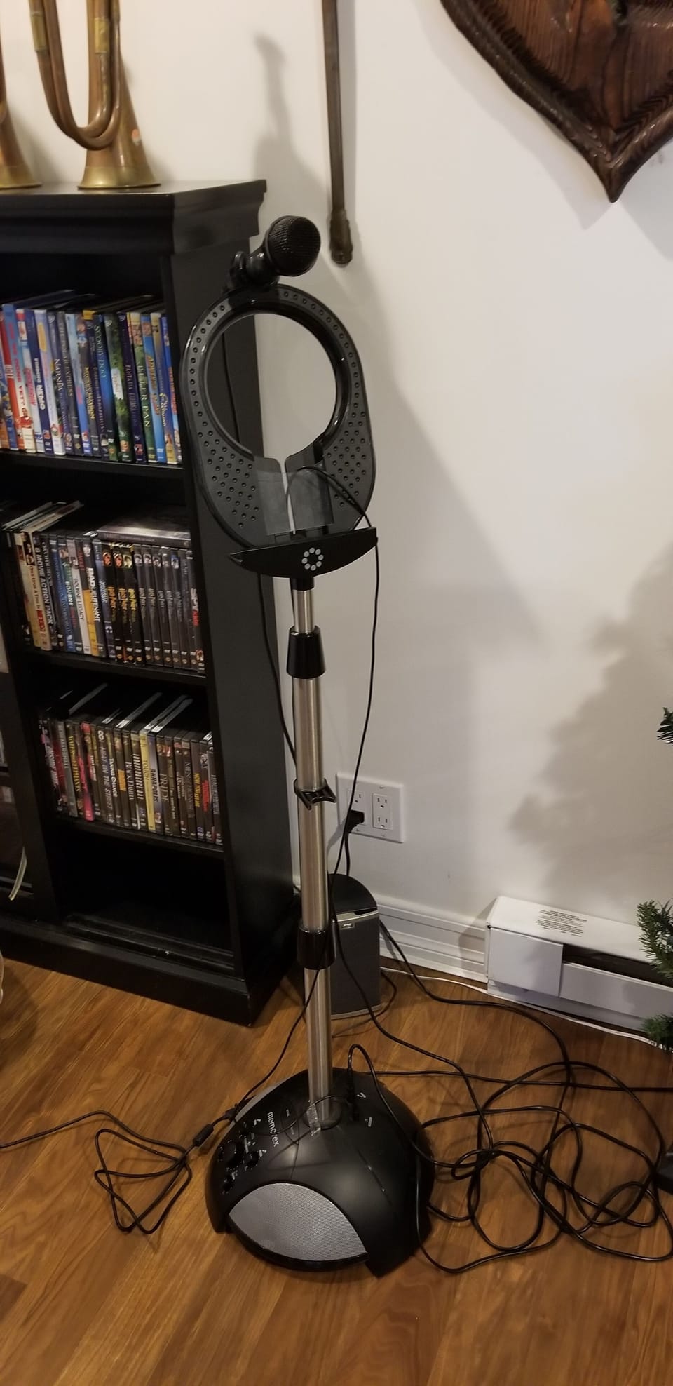 ENTERTAINMENT room- karaoke with microphone (connected by bluetooth)