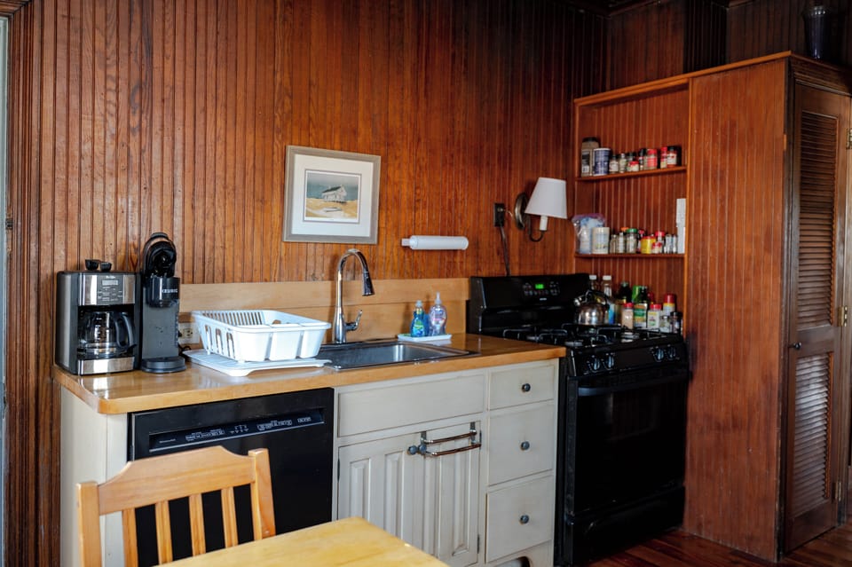 Kitchen stove , dishwasher, and spice shelf