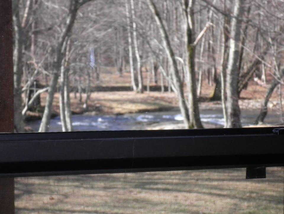 View of the Nottely River from window seat in cabin.