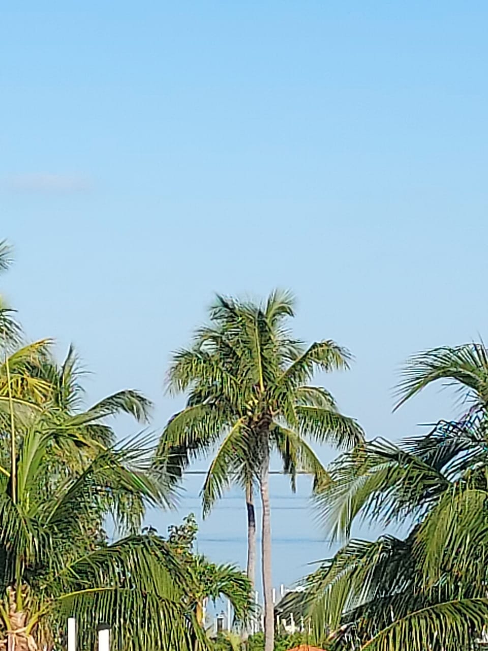 View from balcony 